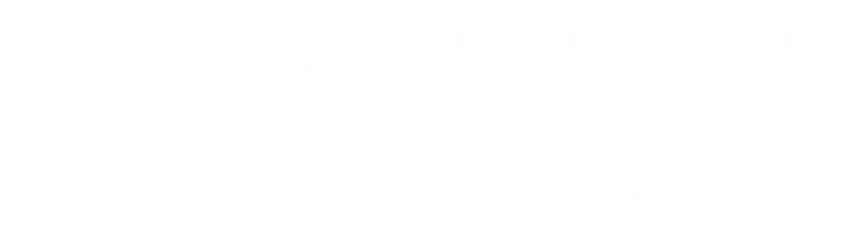 finlon